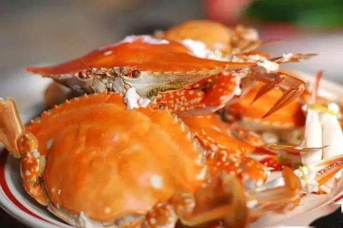 秋风起，蟹脚肥 快来湛江“蟹”逅鲜味