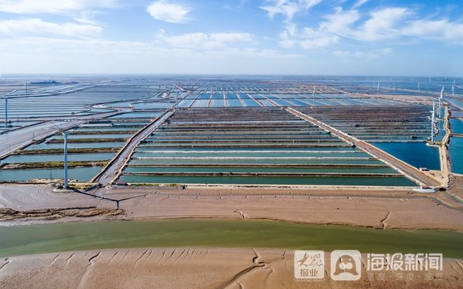 河口区 升级产业新优势，催生渔业新动能——“蟹”逅碧水间的乡村振兴密码