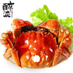 阳澄湖大闸蟹 尊贵之味与市场价格的背后逻辑