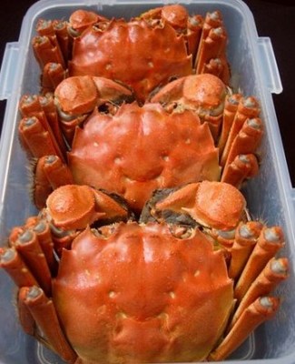 酒蒸螃蟹